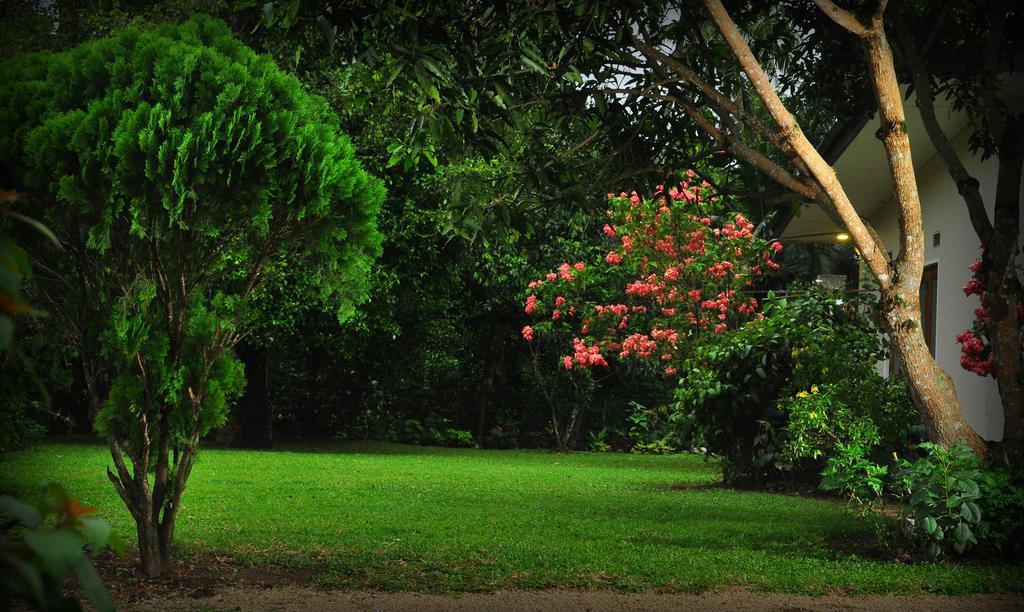 Apartamento Knight'S Heaven Kandy Exterior foto